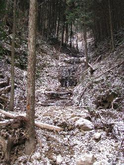 20100119083054.jpg