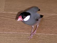 20060704090651.jpg