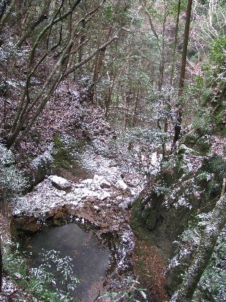 20100119083405.jpg