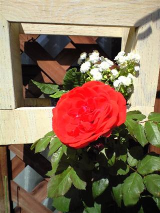 20110526103825.jpg