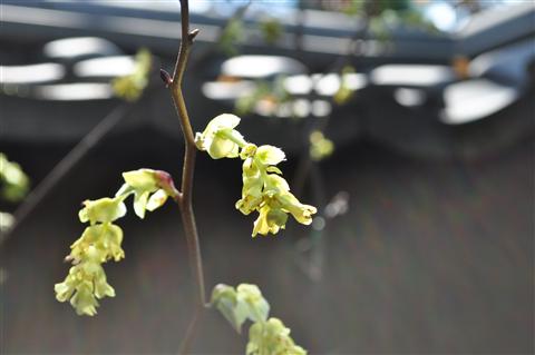 20110224135818.jpg