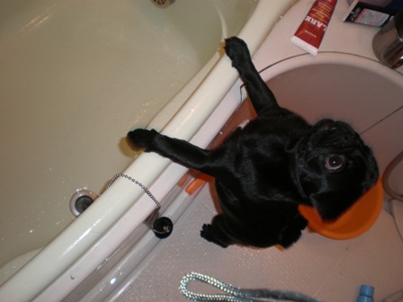 お風呂場で・・・２