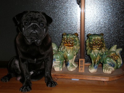 みかんとシーサー