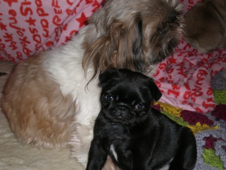 レモンと・・・