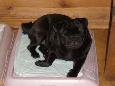 すねてます・・・