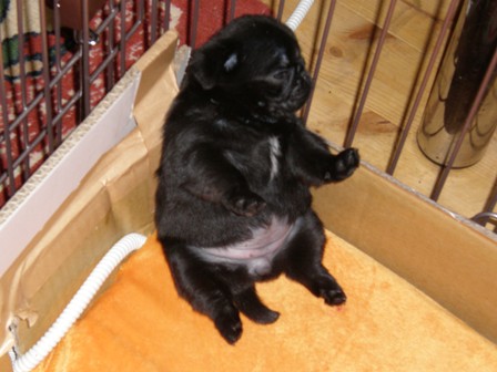 新しい寝方？２