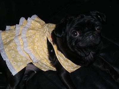 フリフリくるみ