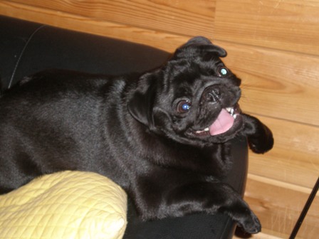 何見てるの？２