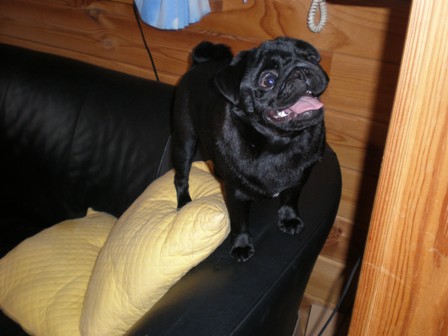 何見ているの？４