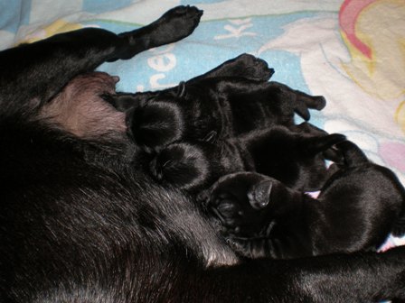 たくさん飲んでるよ。