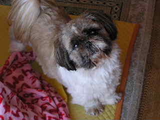 コピー (1) ～ P1010271.JPG