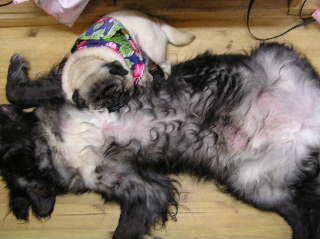 あったかいなあ～２