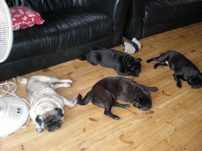 扇風機の前で・・・2