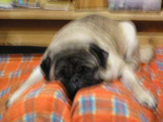 どこでしょう？