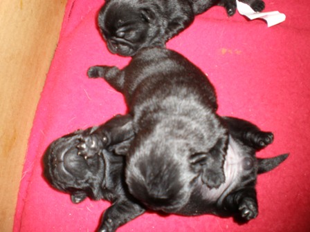 く、く、くるしい～・・・・・