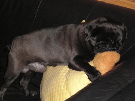 みかんくんのチュチュチュ！