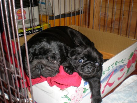 お母さんと一緒２