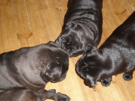 メロンさん乱入？