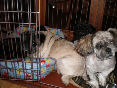 定員オーバー２