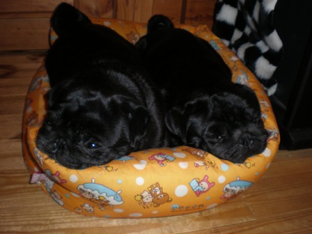 定員オーバー３