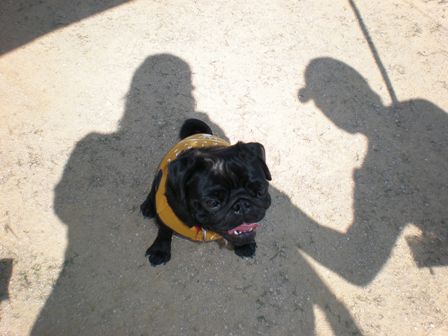 きゅろすけくん２