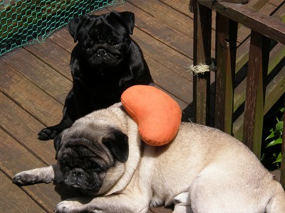 いちごとライム２