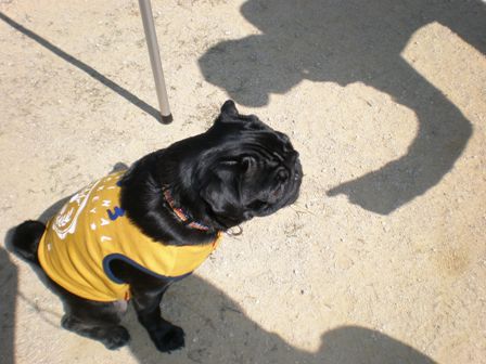 きゅろすけくん３