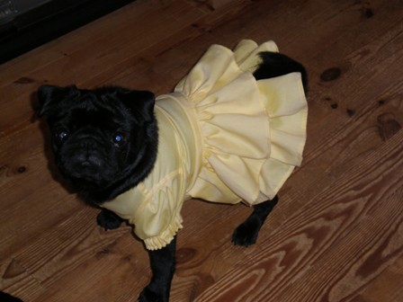 フリフリメロン２