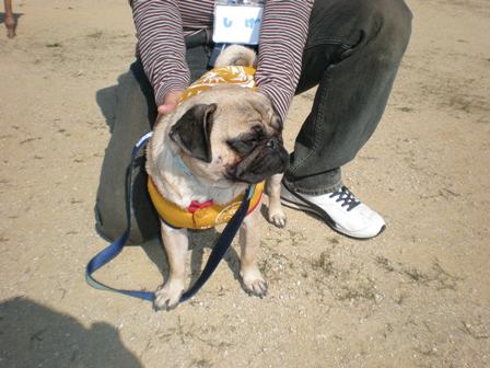 たくのすけくん