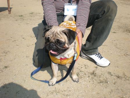 たくのすけくん２