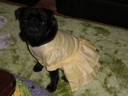 フリフリメロン３