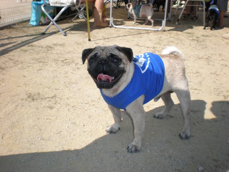 ころんちゃん２