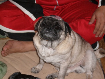 またまた・・・・