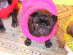 フワフワセーター１