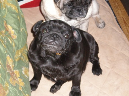 まろんにも・・・