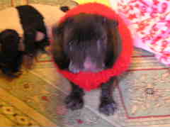 フワフワセーター２