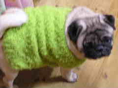 フワフワセーター３