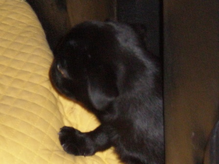 怖がってます。