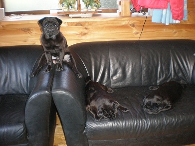 やっぱりここが・・・・