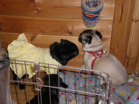 ゆずちゃんとメロン