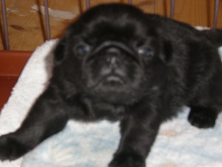 メロンです！２