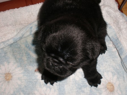 メロンです！３