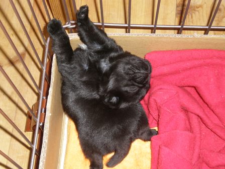 メロンです！４