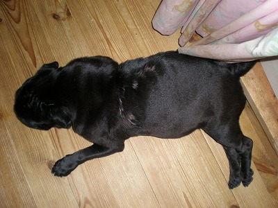 妊婦さんくるみ