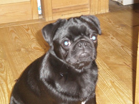 まだかなあ～。