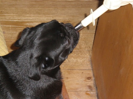 水、飲めるよ！