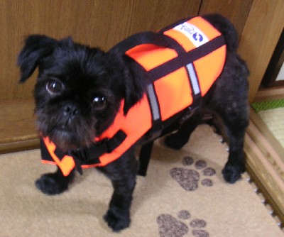 life jacket