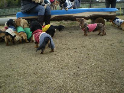 (´；ω；｀)ｳｯ･･