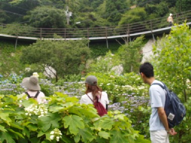 1070708六甲高原植物園 017.jpg