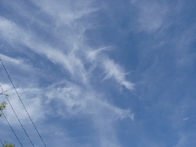 1070430広田神社から甲山へ 071.jpg